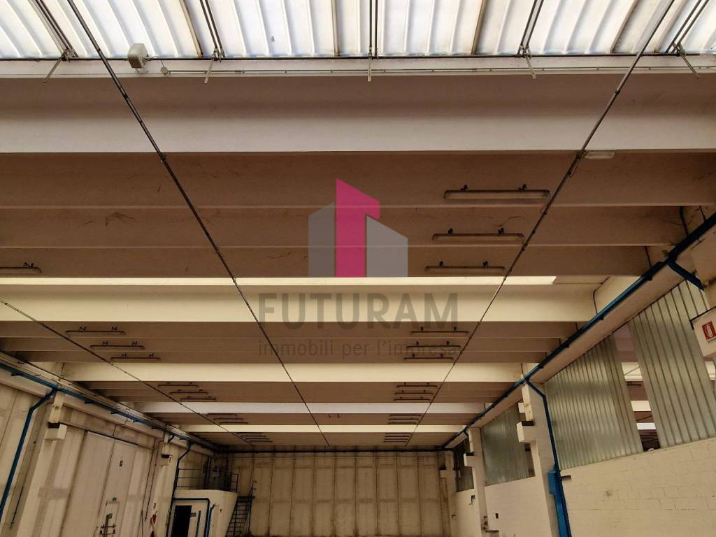 VENDESI CAPANNONE DUEVILLE