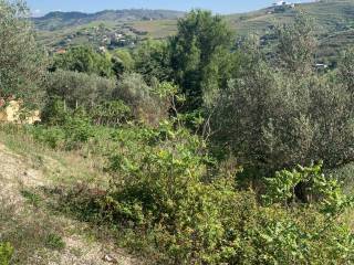 Terreni in vendita Calatafimi-Segesta - Immobiliare.it