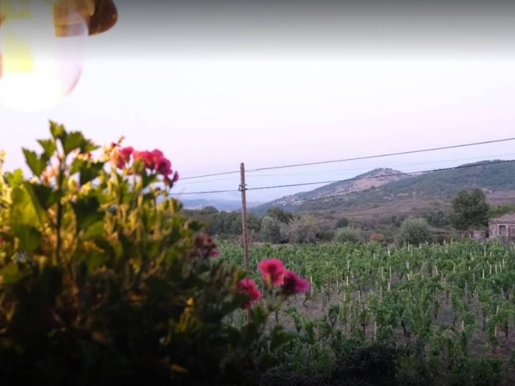 Vendita Rustico in via Corvo sn Castiglione di Sicilia. 115 m², rif