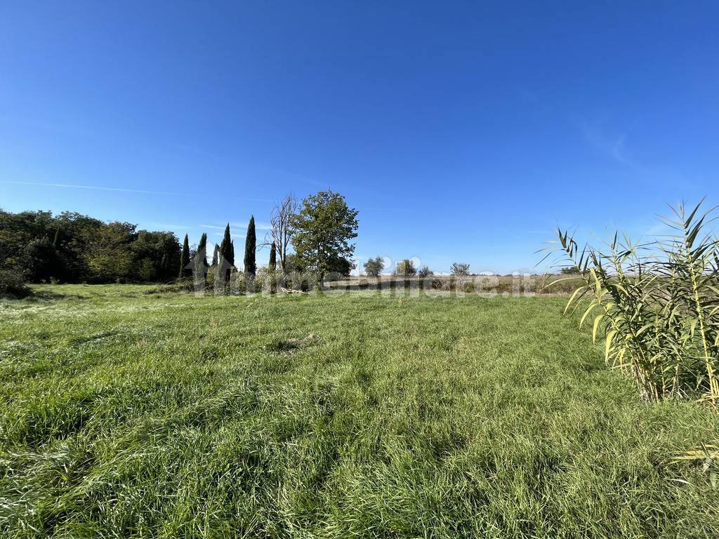 ANTICO CASOLARE CORTONA