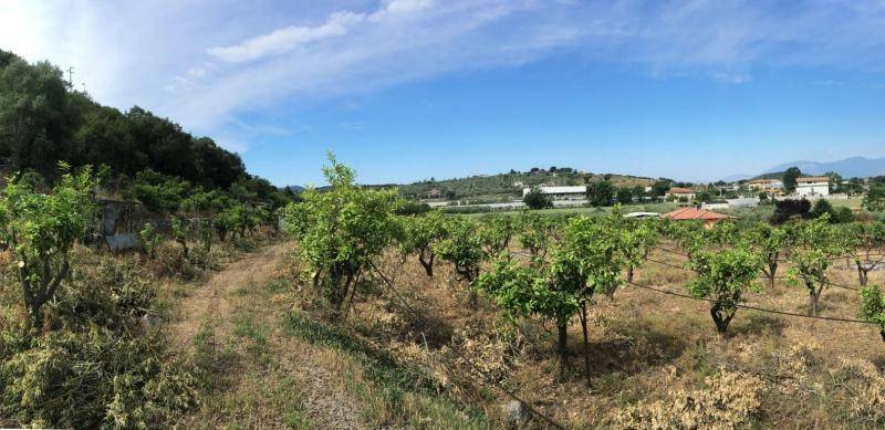 Terreno agricolo via mola di vetere, fondi