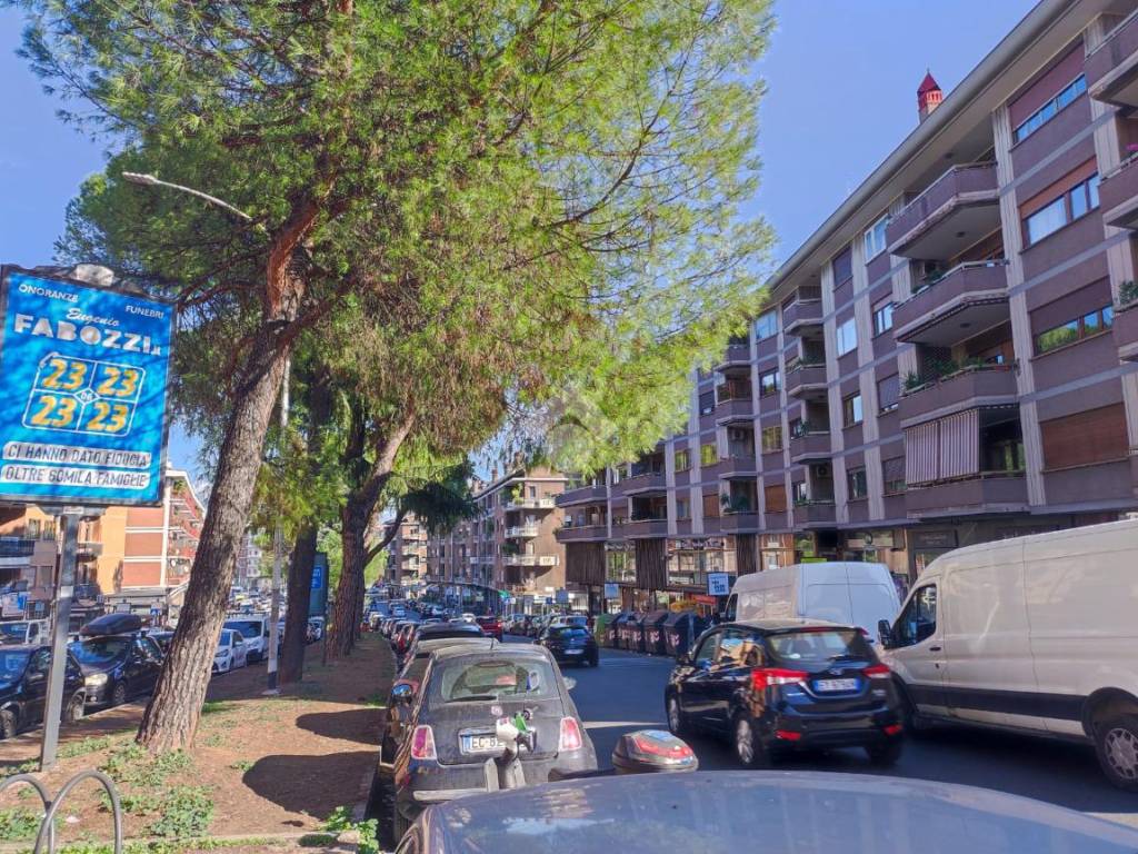 Locale commerciale via Ferdinando Martini 11, Roma, rif. 99409772