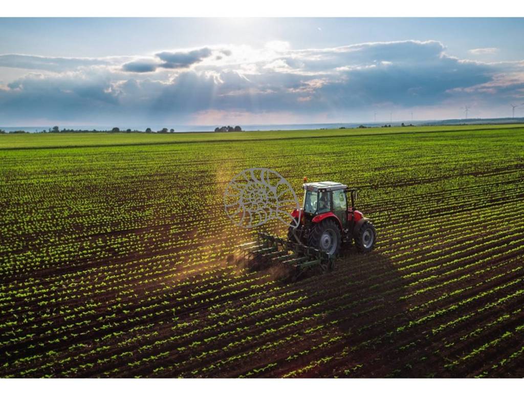 Terreno agricolo, cà nani, piave vecchia, jesolo