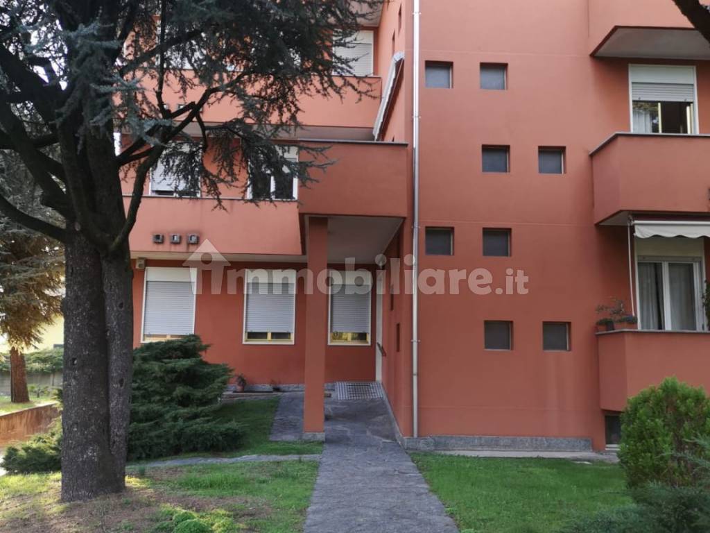 Vendita Appartamento Olgiate Olona. Trilocale in via Luigi Morelli 4