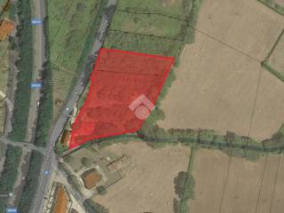2022-11-18 09_07_02-Topoprogram - Consultazione mappe