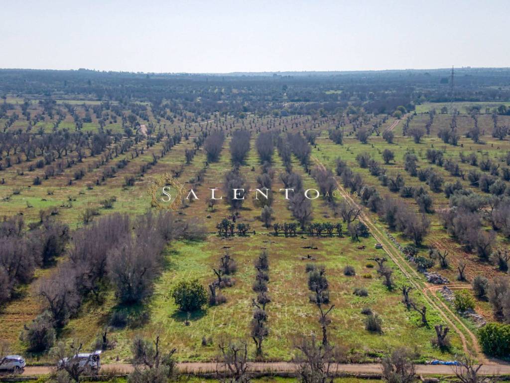 Terreno in vendita ad Ugento