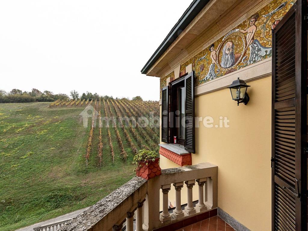 TERRAZZA CON VISTA SUL VIGNETO