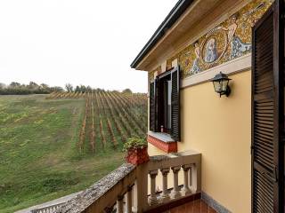 TERRAZZA CON VISTA SUL VIGNETO