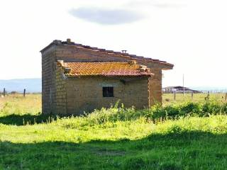 Annesso con Terreno Vende a Tuscania