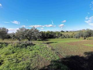 Casalino panoramico con Terreno Vende Tuscania