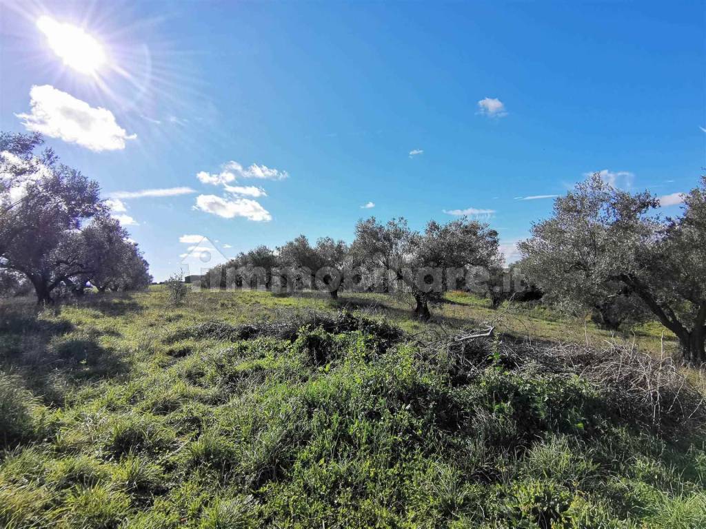 Casalino panoramico con Terreno Vende Tuscania