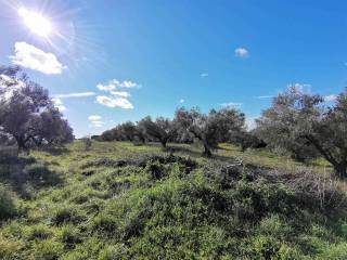 Casalino panoramico con Terreno Vende Tuscania