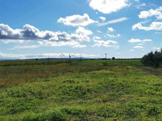 Annesso con Terreno Vende a Tuscania