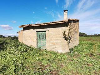 Annesso con Terreno Vende a Tuscania