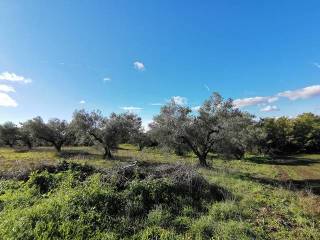 Casalino panoramico con Terreno Vende Tuscania