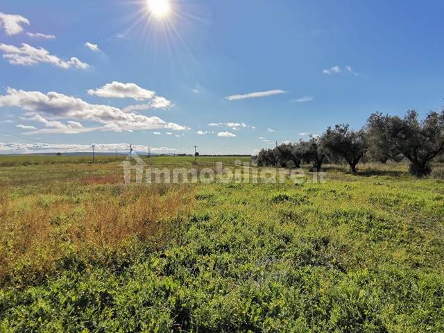 Annesso con Terreno Vende a Tuscania