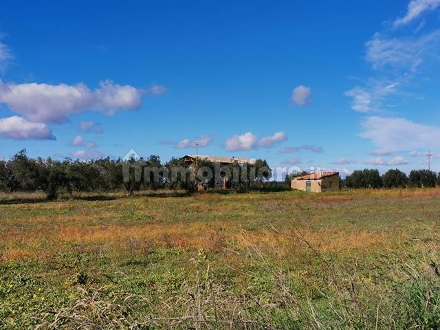 Casalino panoramico con Terreno Vende Tuscania