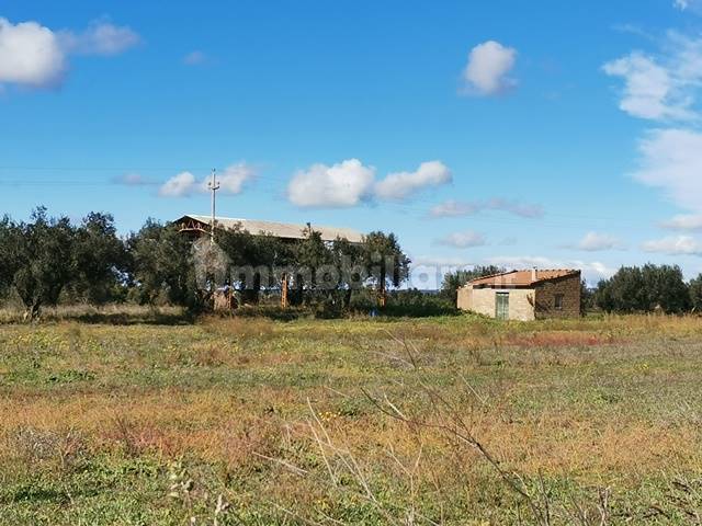 Annesso con Terreno Vende a Tuscania