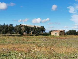 Annesso con Terreno Vende a Tuscania