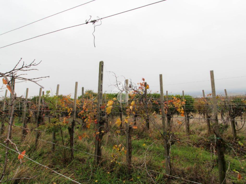 Terreno agricolo via della malpensata, san colombano al lambro