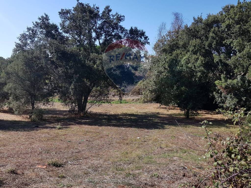 Terreno agricolo via delle azalee, cogna, aprilia