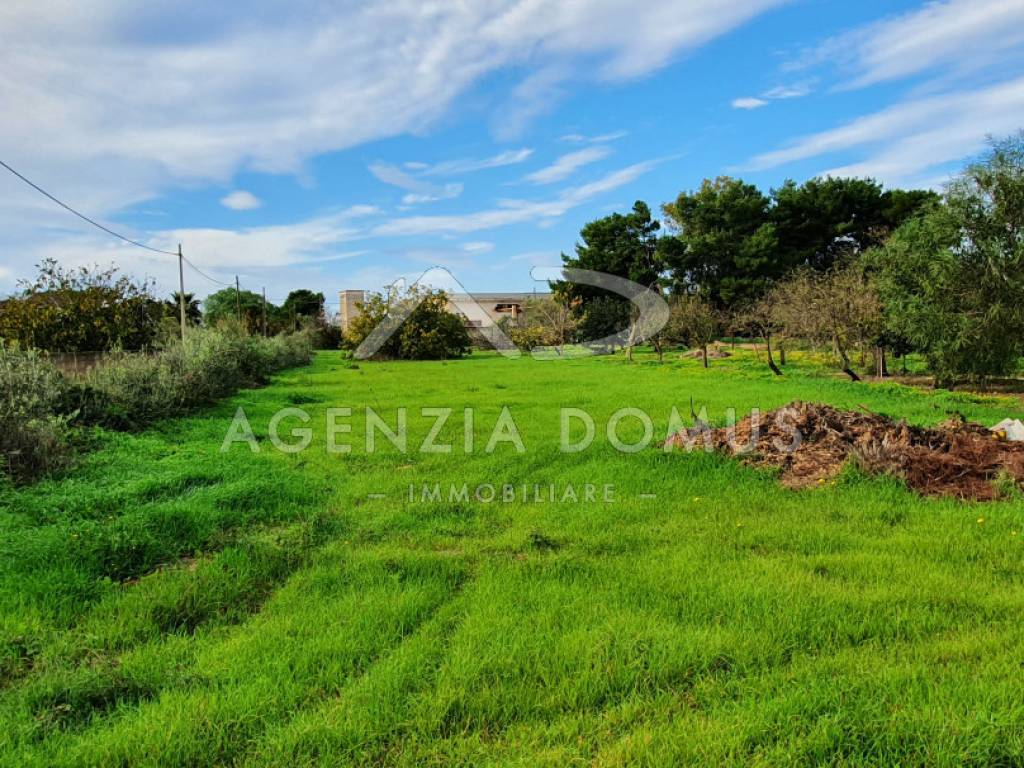 10 puglia salento gallipoli taviano suolo