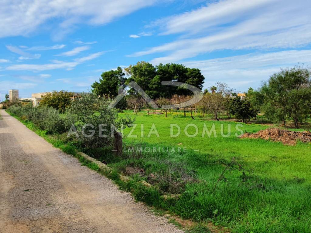 12 puglia salento gallipoli taviano suolo