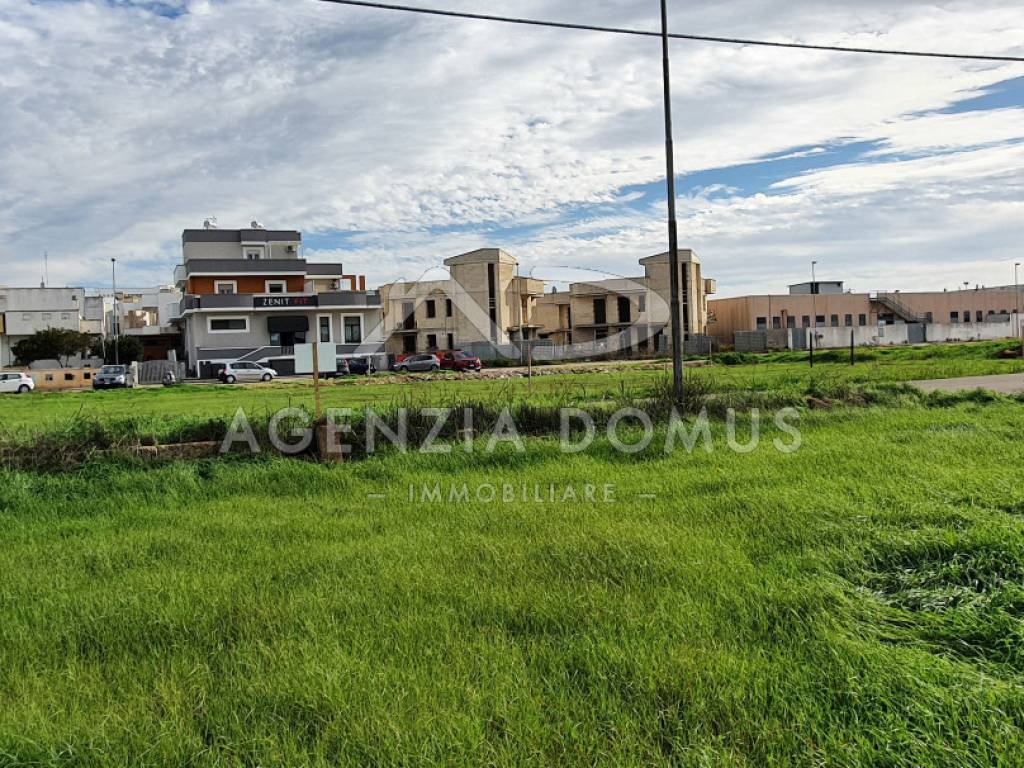 15 puglia salento gallipoli taviano suolo