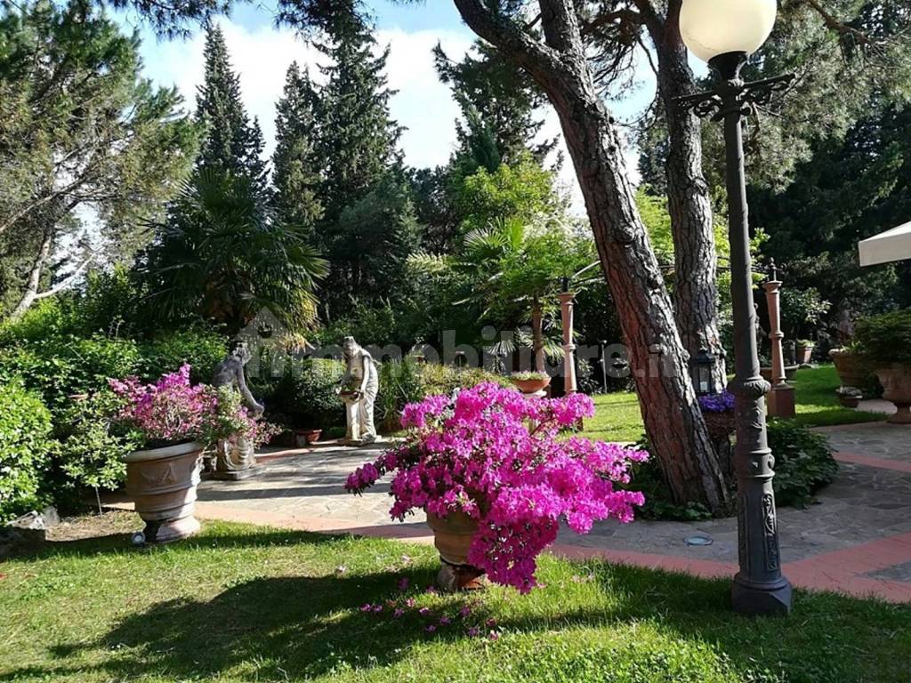 dettagli giardino