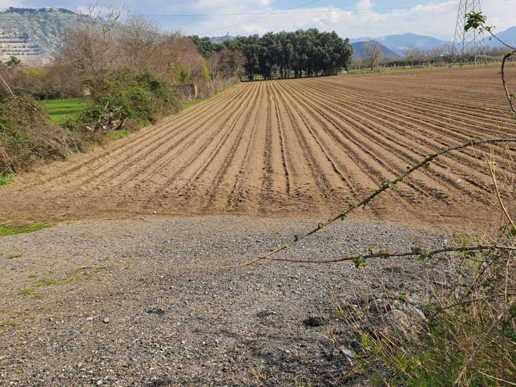 Terreno agricolo via maddaloni, grotticella scarfato, maddaloni