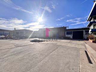 Capannone con ampio esterno