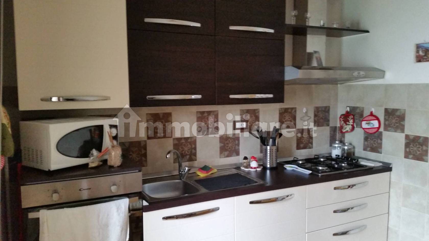 Appartamento in affitto a Pisa