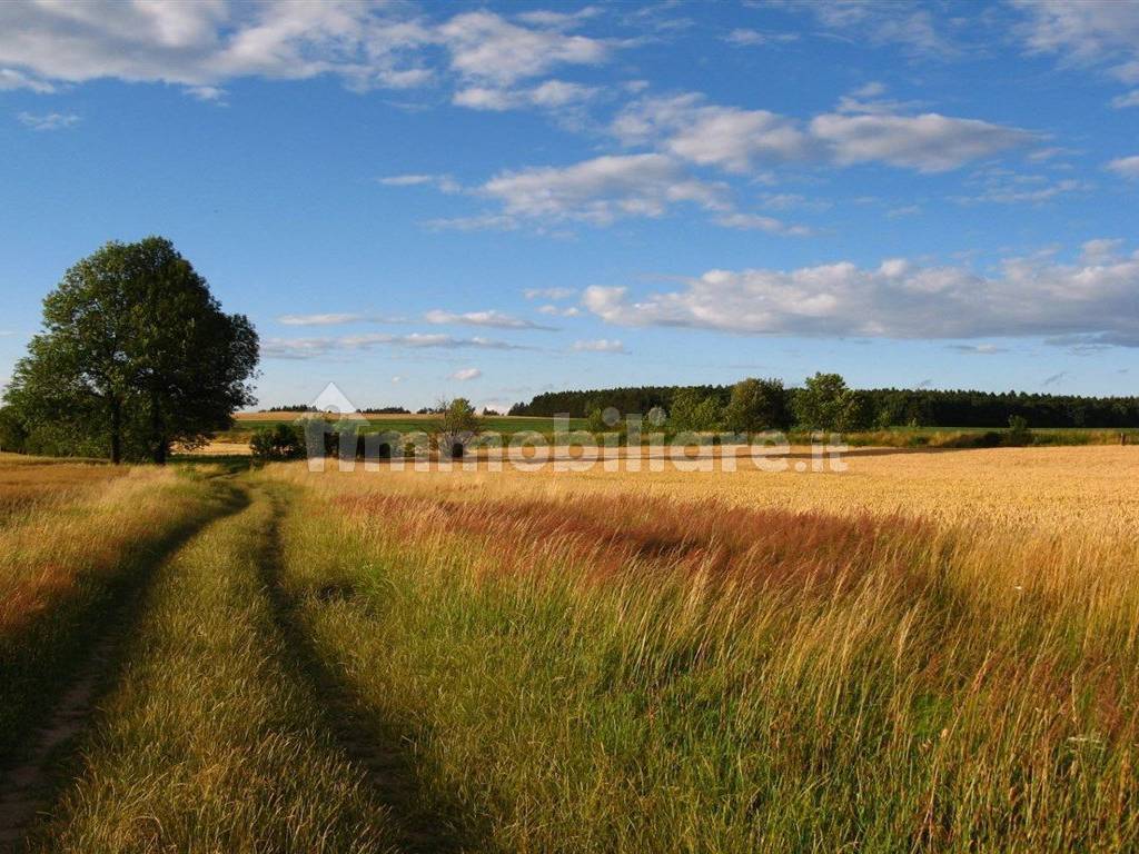 Vista Panoramica