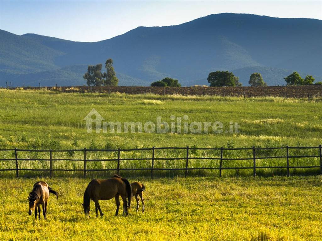 Vista Panoramica