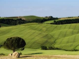 Vista Panoramica