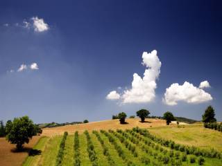 Vista Panoramica