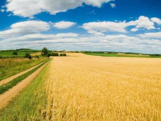 Vista Panoramica