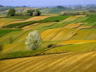 Vista Panoramica