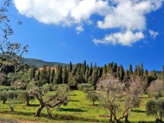 Vista Panoramica