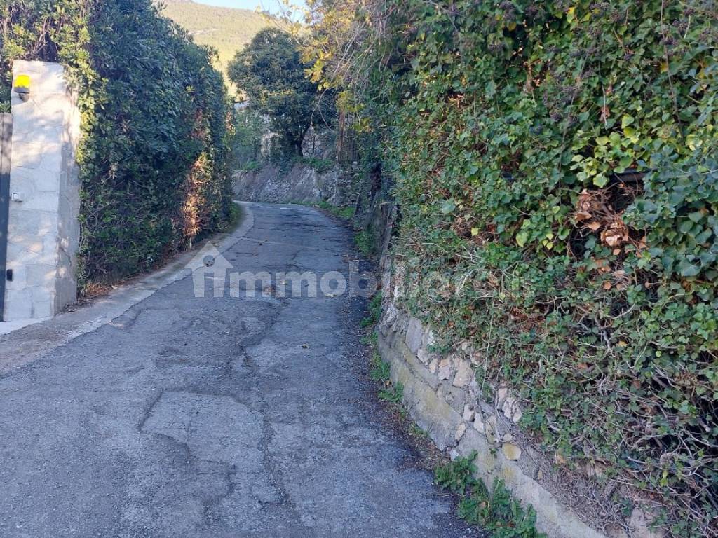 Strada di accesso