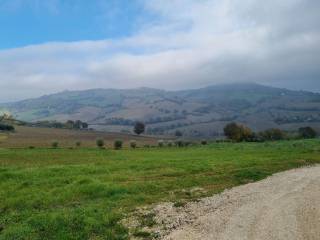 img-20221209-wa0012