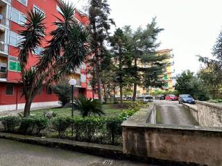 Condominio