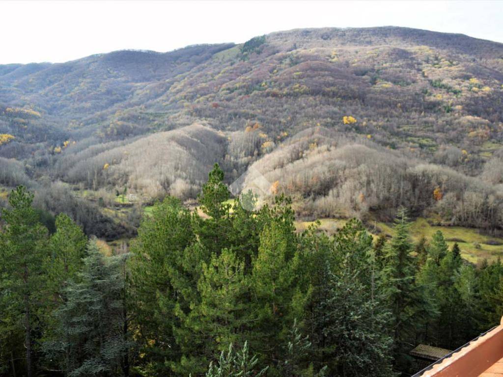 BALCONE CON VISTA MONTAGNE