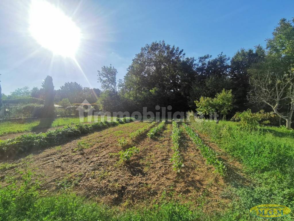 Orto o giardino