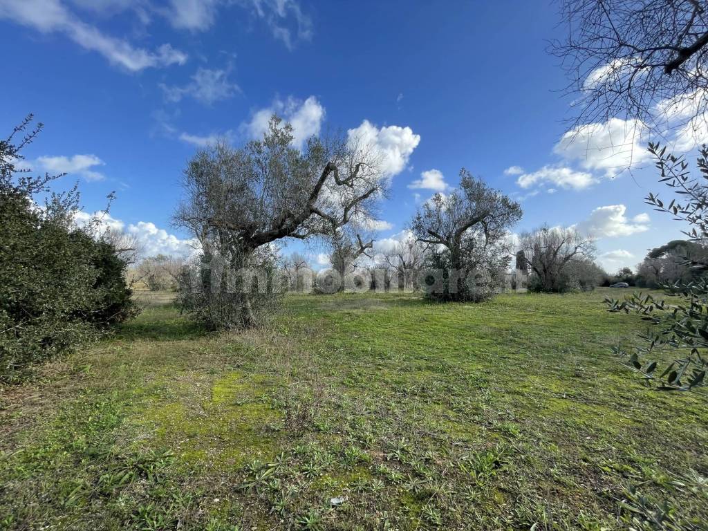 Terreno in vendita a Martano