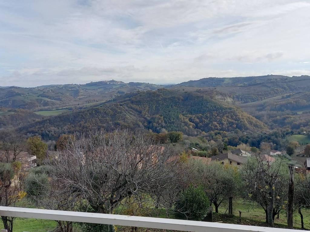 Terreno agricolo, centro, monte vidon corrado