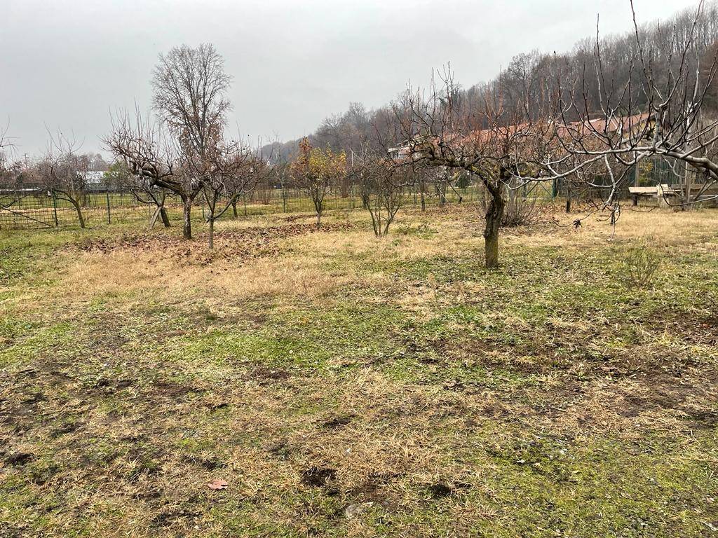 Terreno agricolo borgata la piè, san carlo canavese