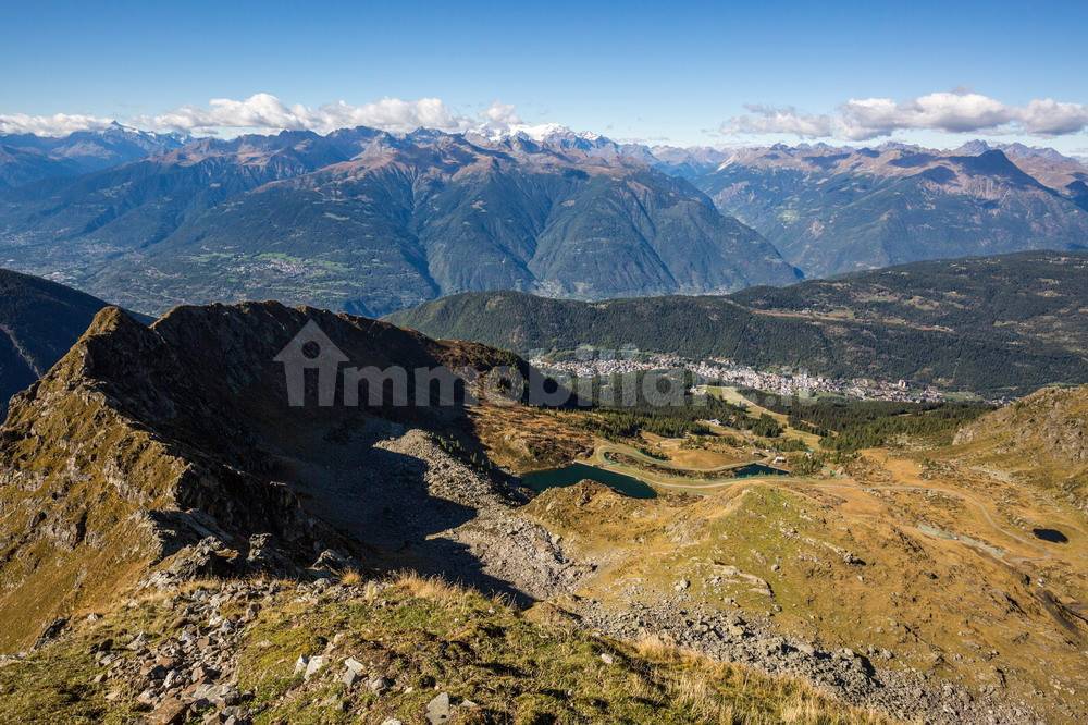 APRICA DALL'ALTO