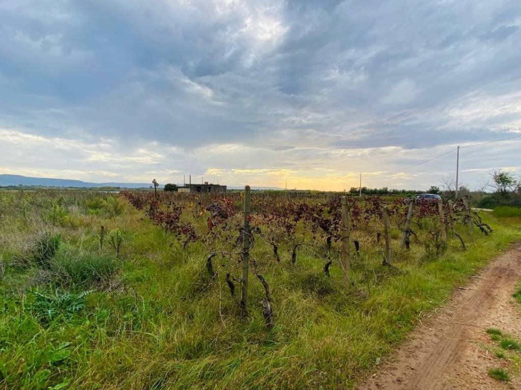 Terreno agricolo località pullo, bellafemmina ii, lamezia terme