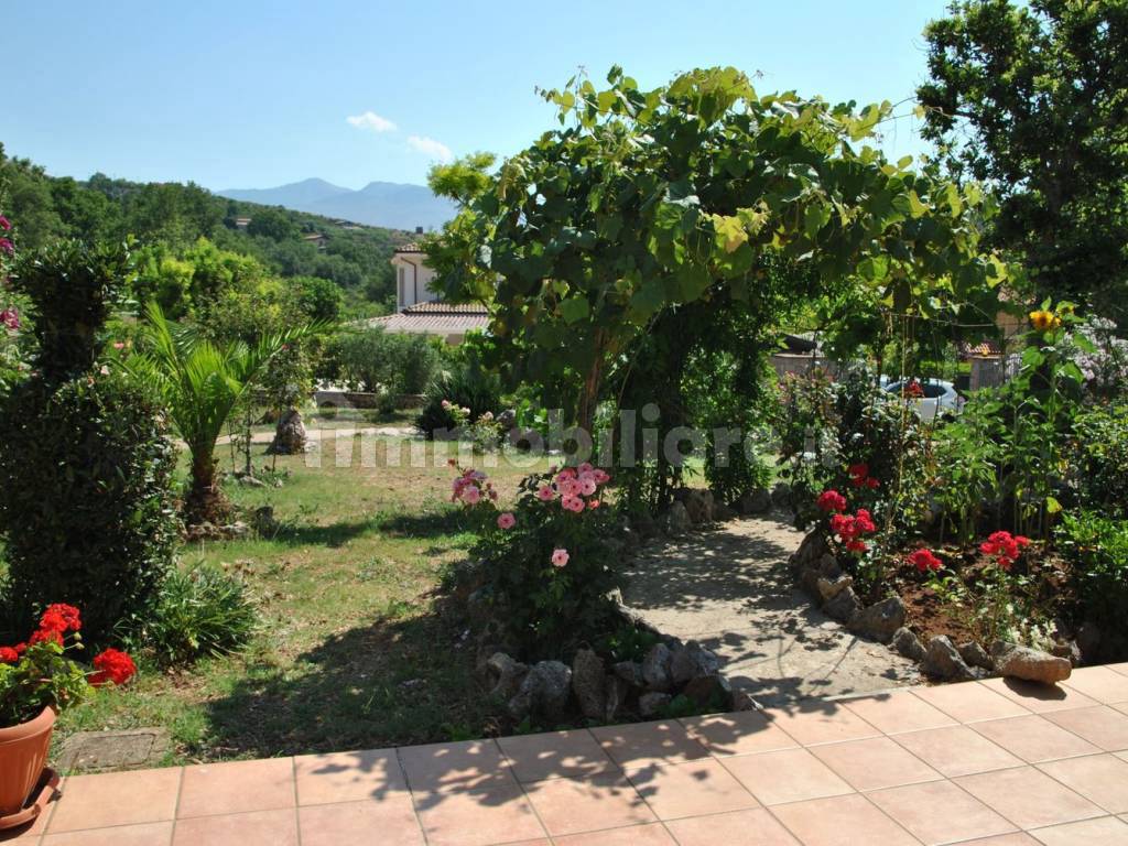 Giardino